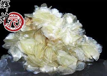 muscovite
